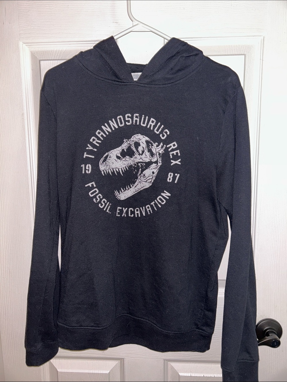 Black Hooded Sweatshirt with Dinosaur Graphic